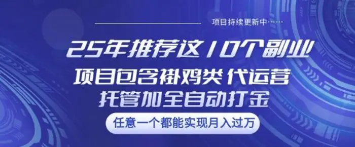 25年推荐这10个副业项目包含褂鸡类、代运营托管类、全自动打金类-副业网