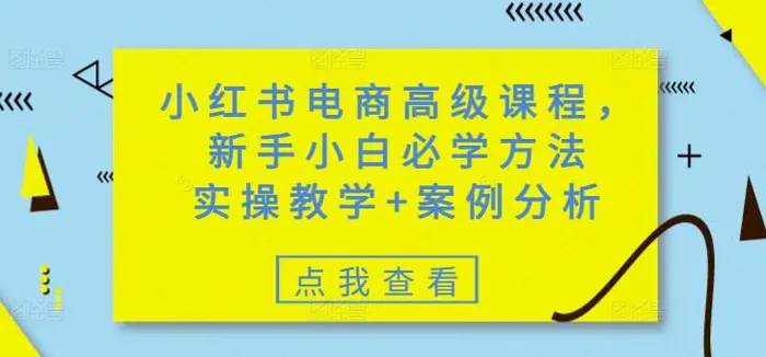 小红书电商高级课程，新手小白必学方法，实操教学+案例分析-副业网