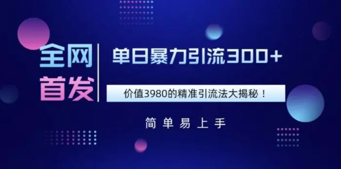 全网首发，价值3980单日暴力引流300+的精准引流法大揭秘-副业网