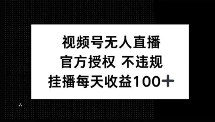 视频号无人直播，官方授权 不封号，小游戏挂播每天收益100+-副业网