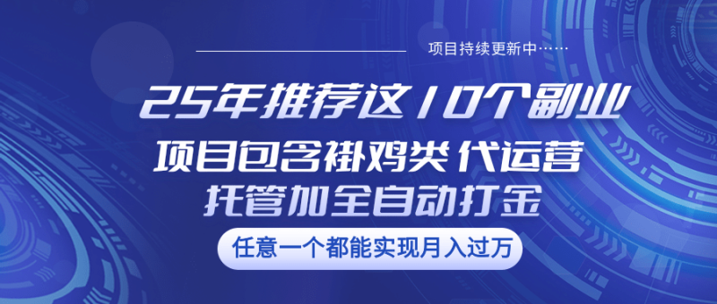 25年推荐这10个副业 项目包含褂鸡类、代运营托管类、全自动打金类-副业网
