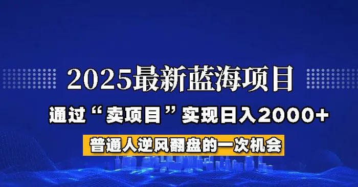 2025年蓝海项目，如何通过“网创项目”日入2000+-副业网