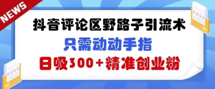 抖音评论区野路子引流术，只需动动手指，日吸300+精准创业粉-副业网