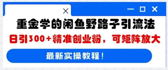 重金学的闲鱼野路子引流法，日引300+精准创业粉，可矩阵放大-副业网