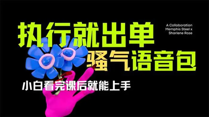 （14170期）爆火全网的开车导航骚气语音包,只要执行就出单，小白看完课程就能实操…-副业网