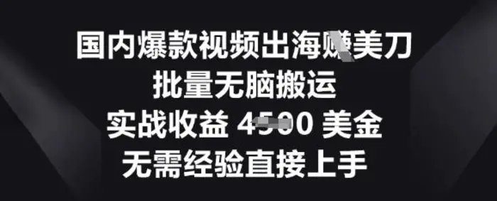 国内爆款视频出海挣美刀，批量无脑搬运，实战收益4.5k，无需经验直接上手-副业网