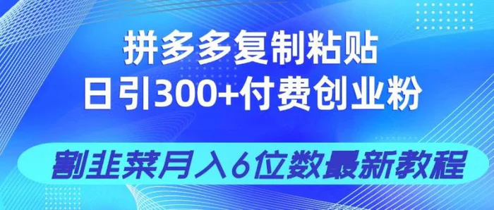 （14232期）拼多多复制粘贴日引300+付费创业粉，割韭菜月入6位数最新教程！-副业网