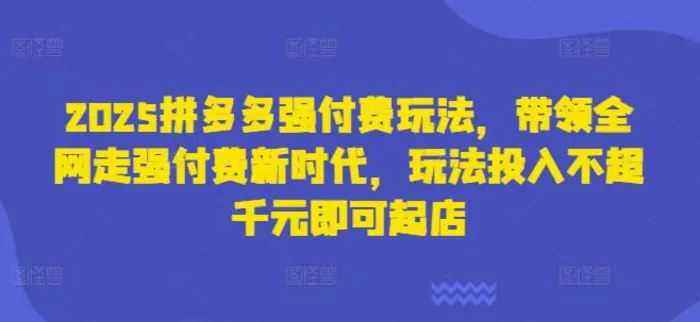 2025拼多多强付费玩法，带领全网走强付费新时代，玩法投入不超千元即可起店-副业网