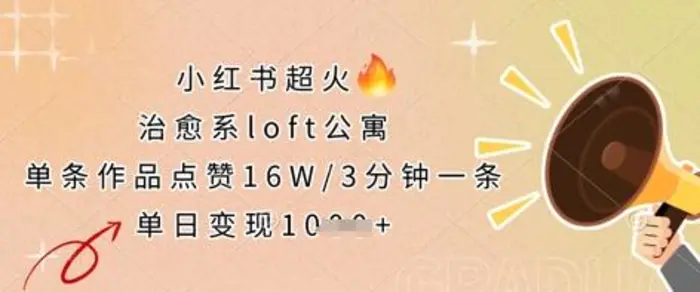 小红书超火的治愈系loft公寓，单条作品点赞16W，3分钟一条，单日变现数张-副业网