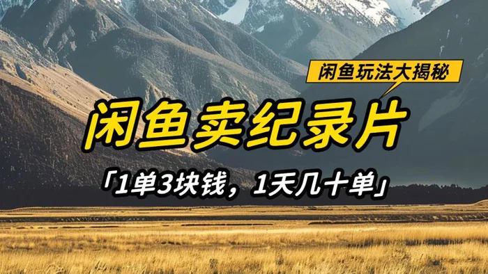 闲鱼卖纪录片，简单又赚钱的小项目，1单3块钱  1天几十单-副业网
