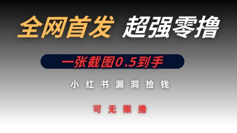 全网首发无限零撸捡钱项目，小红书一张截图0.5元可无限零撸-副业网