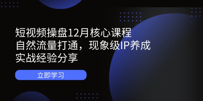 （14447期）短视频操盘12月核心课程：自然流量打通，现象级IP养成，实战经验分享-副业网