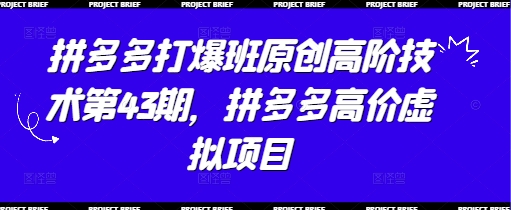 拼多多打爆班原创高阶技术第43期，拼多多高价虚拟项目-副业网