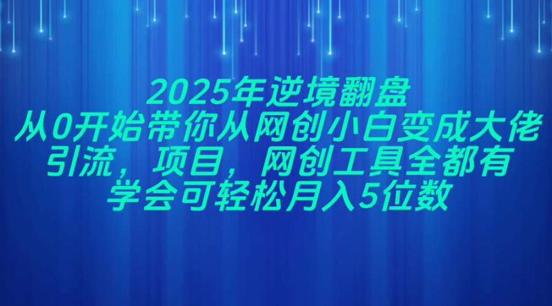 （14473期）2025年逆境翻盘，从0开始带你从网创小白变成大佬，引流，项目，网创工…-副业网