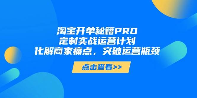 淘宝开单秘籍PRO，定制实战运营计划，化解商家痛点，突破运营瓶颈-副业网