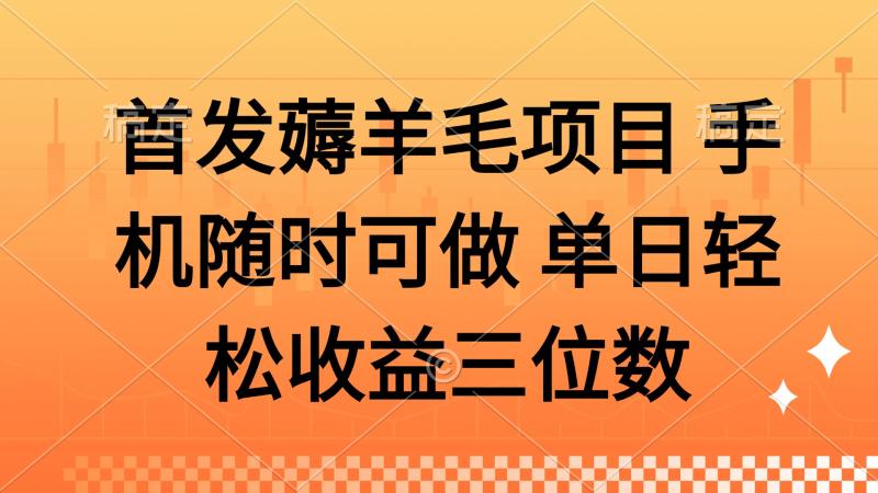 （14686期）薅羊毛项目 手机随时可做 单日轻松收益三位数-副业网