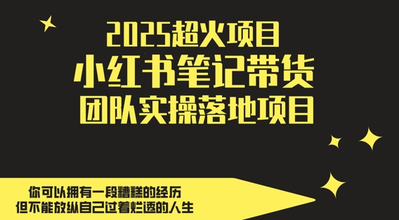 2025超火项目，副业最佳选择，小红书笔记带货团队实操落地项目，，轻松日入5张-副业网