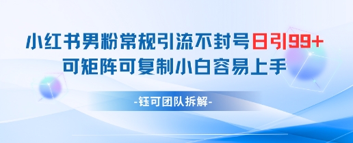 小红书男粉常规引流不封号日引99+变现简单 可矩阵可复制小白容易上手-副业网