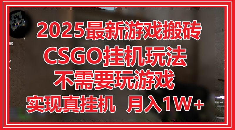 2025最新游戏搬砖，CSGO挂机，不需要玩游戏，实现真挂机，月入1W+-副业网