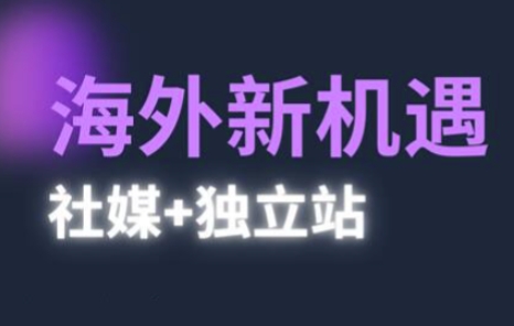 2025出海新机遇(社媒+独立站)，海外新机遇，实现独立站的高效运营与出海-副业网