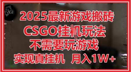 2025最新游戏搬砖，CSGO挂G，不需要玩游戏，实现真挂G，月入1W+-副业网