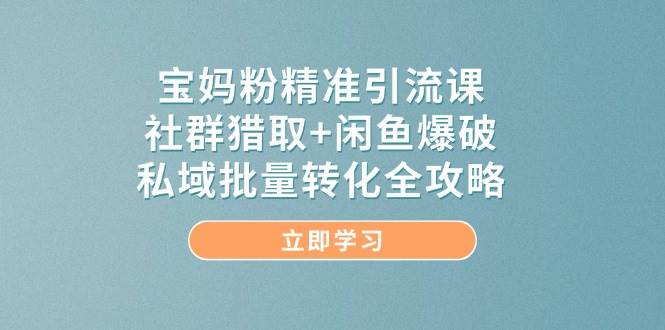 宝妈粉精准引流课，社群猎取+闲鱼爆破，私域批量转化全攻略-副业网