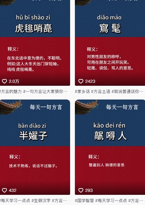 图片[2]-抖音最新涨粉玩法，图文方言暴力涨粉实操，126作品涨粉11W-副业网