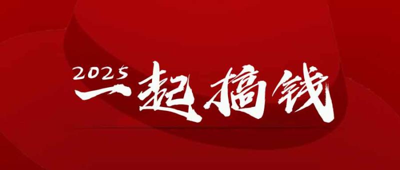 （14758期）2025年，请“不择手段”去搞钱!-副业网