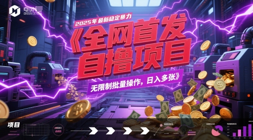 全网首发，2025年最新稳定暴力全自动自撸项目，无限制批量操作，日入多张-副业网