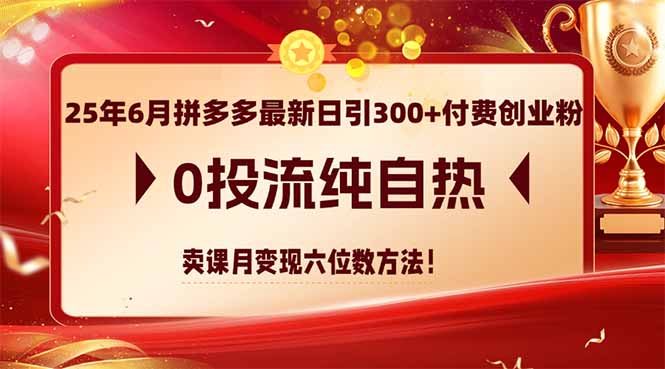 （14989期）25年6月拼多多最新日引300+付费创业粉，0投流纯自热 卖课月变现六位数方法-副业网