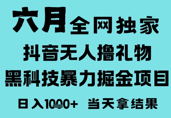 25年6月高爆抖音无人直播最新撸音浪掘金项目，门槛低小白可做，无脑日入1k，可矩阵放大-副业网
