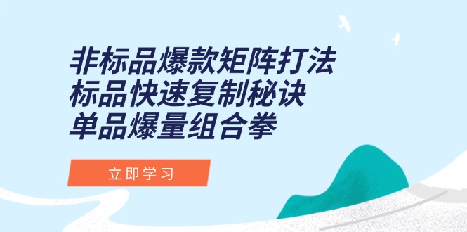 非标品爆款矩阵打法，标品快速复制秘诀，单品爆量组合拳-副业网