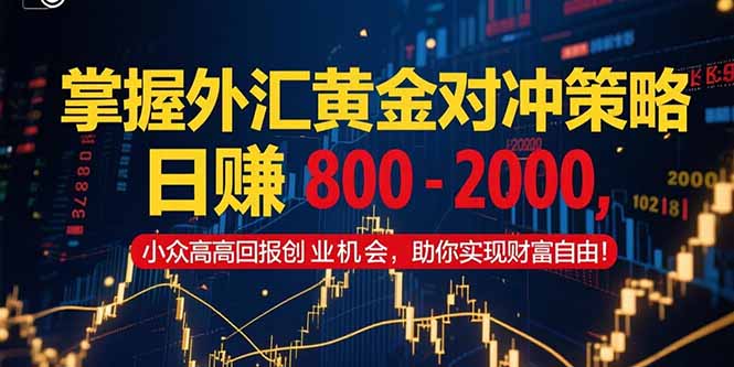 掌握外汇黄金对冲策略，日赚 800 – 2000，小众高回报创业机会，助你实…-副业网