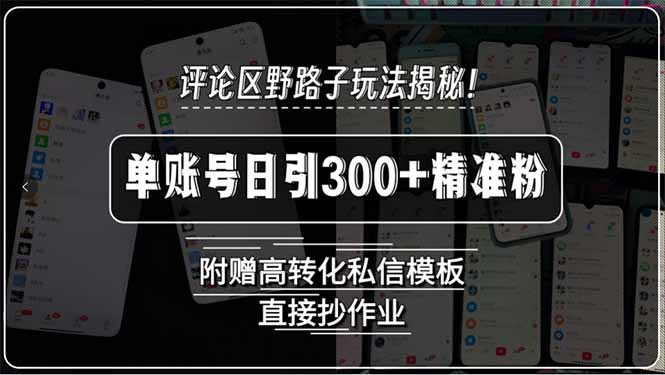 评论区野路子玩法揭秘！单账号日引300+精准粉，附赠高转化私信模板，直…-副业网
