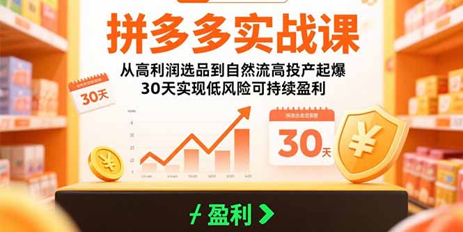 拼多多实战课：从高利润选品到自然流高投产起爆 30天实现低风险可持续盈利-副业网