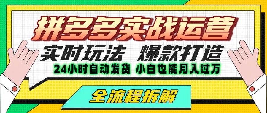 拼多多最新实战运营高投产：长久稳定项目，单店利润一天三位数-副业网