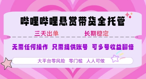 2025年B站风口带货项目 仅需提供账号 全程托管 轻松月入1w+-副业网