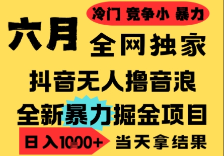 25年6月高爆抖音无人直播最新撸音浪掘金项目，小白可做，无脑日入1k+，门槛低可批量矩阵【揭秘】-副业网