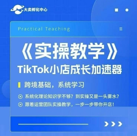 大卖家孵化中心TikTok实操课，TikTok小店成长加速器，跨境基础系统学习，一步一步带你开店-副业网
