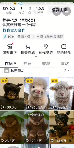 图片[2]-抖音65W博主AI萌宠课程，新赛道流量大，原创+二创，全套课程+提示词-副业网