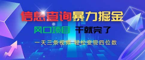 信息查询暴力掘金，一天三条视频，轻松变现四位数，风口项目干就完了【揭秘】-副业网