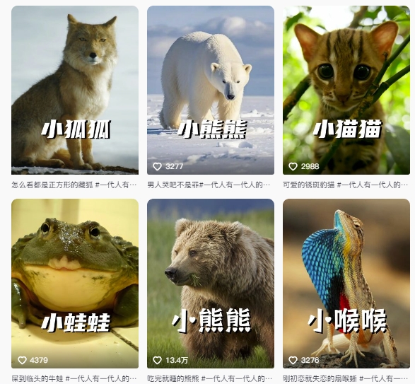 图片[2]-最新搞笑动物百科详细解说课程，蓝海赛道，流量非常大，轻松签独家进精选-副业网