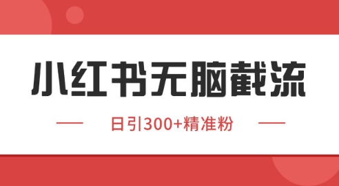 小红书截流同行客源，独家野路子获客玩法 日引200+暴力获客【揭秘】-副业网