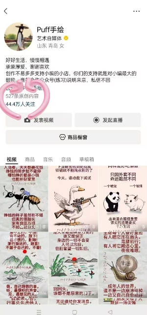 图片[2]-Puff手绘视频号分成项目，三天过分成计划，简单易上手，适合新手-副业网