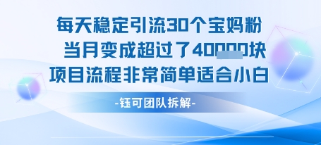 每天稳定引流30个人 当月变成超过了4个W项目流程非常简单适合小白-副业网