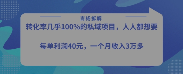 转化率最高的私域项目，每单利润40-50米，月入过1w-副业网