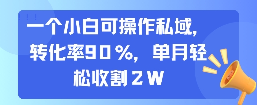 一个小白可操作私域，转化率90%，单月轻松收割2W-副业网