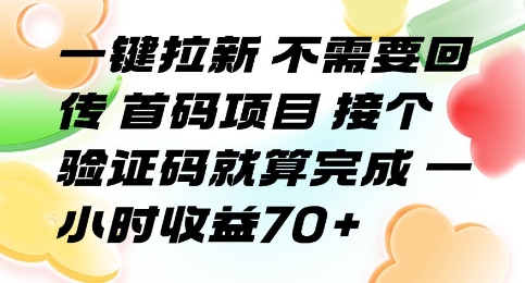 一键拉新 不需要回传 首码项目 接个验证码就算完成 一小时收益70+【揭秘】-副业网