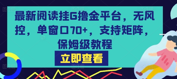 最新阅读挂G撸金平台，无风控，单窗口70+，支持矩阵，保姆级教程【揭秘】-副业网