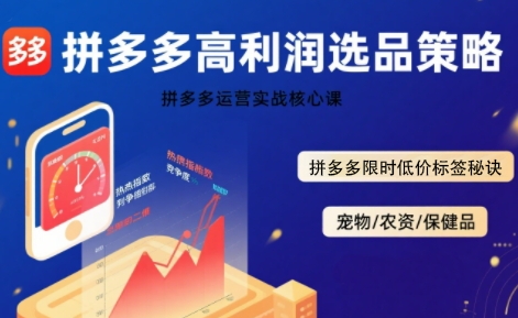 拼多多选品暴利技术实战课，拼多多高利润选品策略，拼多多限时低价标签秘诀-副业网